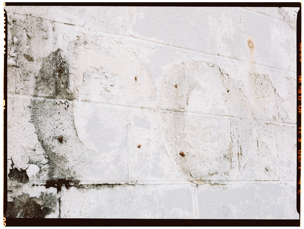 Flood Cleanup service in San Buenaventura, CA