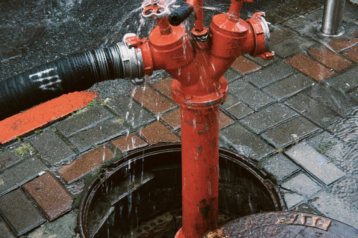 Commercial water damage restoration in San Buenaventura